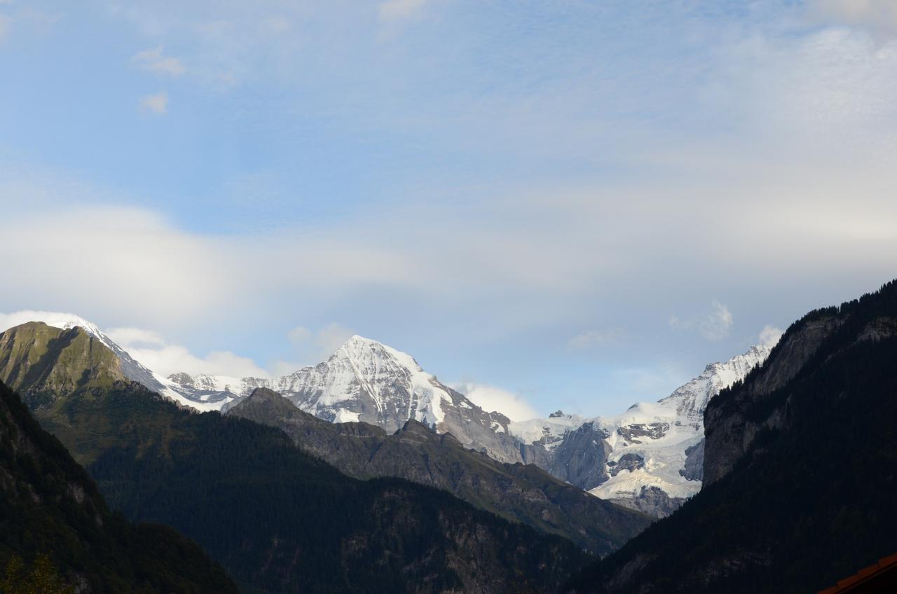 Heimat होटल 2*